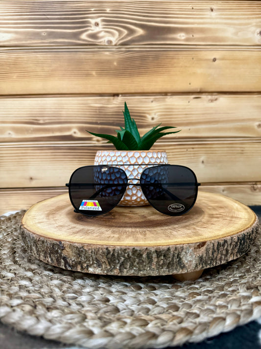 Max Polarized Black Aviator Sunglasses